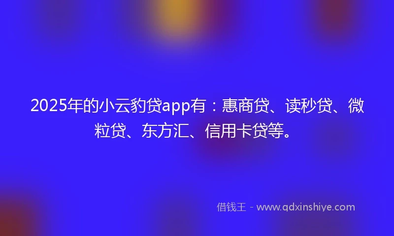 2025年的小云豹贷app有：惠商贷、读秒贷、微粒贷、东方汇、信用卡贷等。