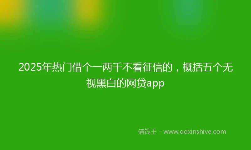 2025年热门借个一两千不看征信的，概括五个无视黑白的网贷app