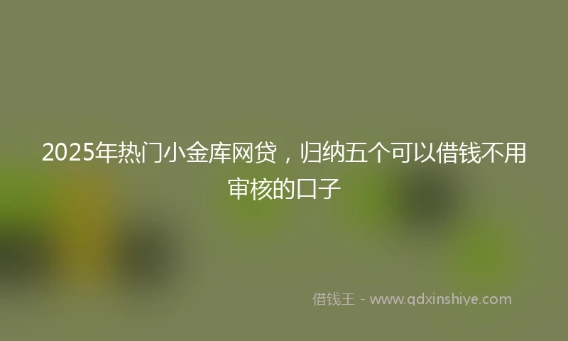 2025年热门小金库网贷，归纳五个可以借钱不用审核的口子
