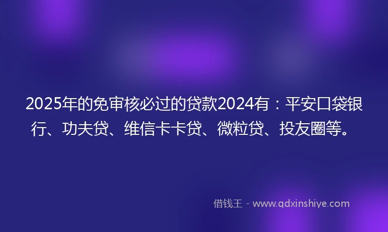 2025年的免审核必过的贷款2024有：平安口袋银行、功夫贷、维信卡卡贷、微粒贷、投友圈等。