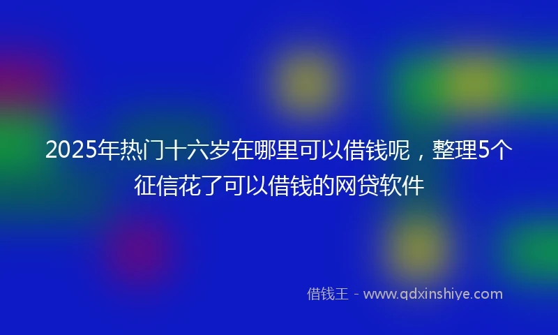 2025年热门十六岁在哪里可以借钱呢，整理5个征信花了可以借钱的网贷软件