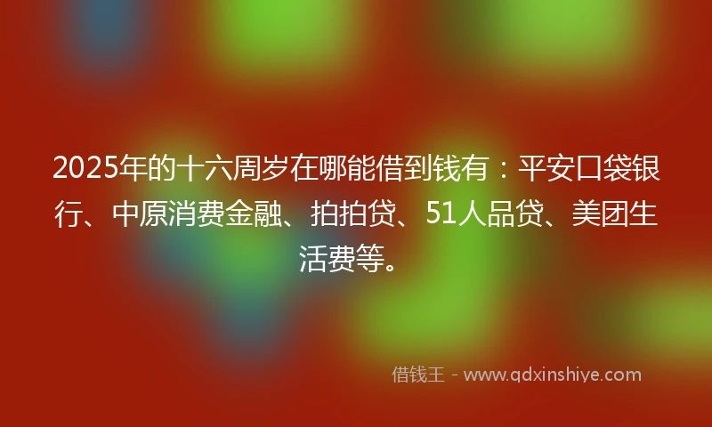 2025年的十六周岁在哪能借到钱有：平安口袋银行、中原消费金融、拍拍贷、51人品贷、美团生活费等。