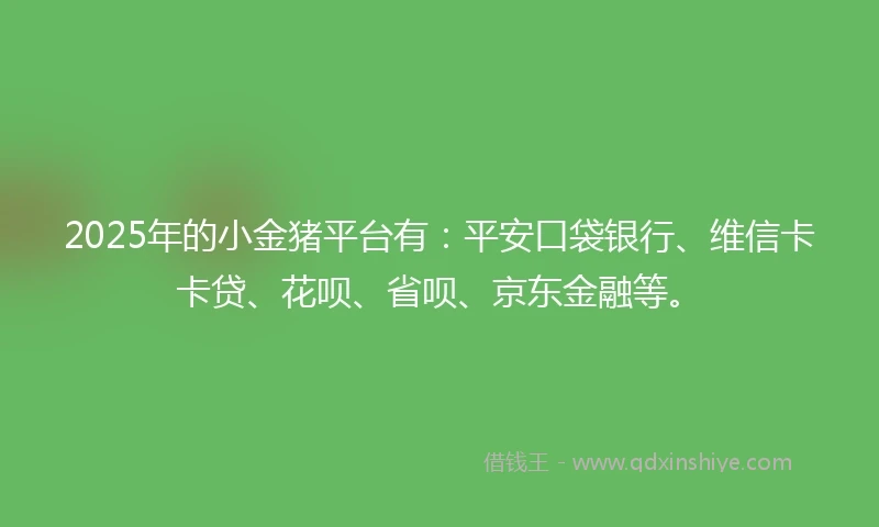 2025年的小金猪平台有：平安口袋银行、维信卡卡贷、花呗、省呗、京东金融等。