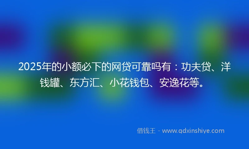 2025年的小额必下的网贷可靠吗有：功夫贷、洋钱罐、东方汇、小花钱包、安逸花等。