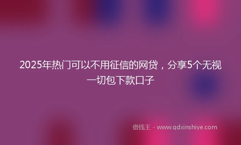 2025年热门可以不用征信的网贷，分享5个无视一切包下款口子