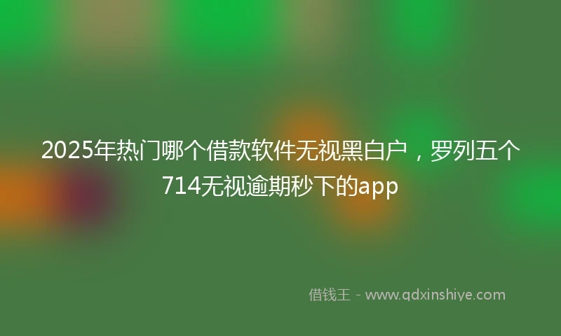 2025年热门哪个借款软件无视黑白户,罗列五个714无视逾期秒下的app