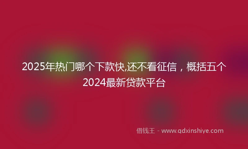 2025年热门哪个下款快,还不看征信，概括五个2024最新贷款平台