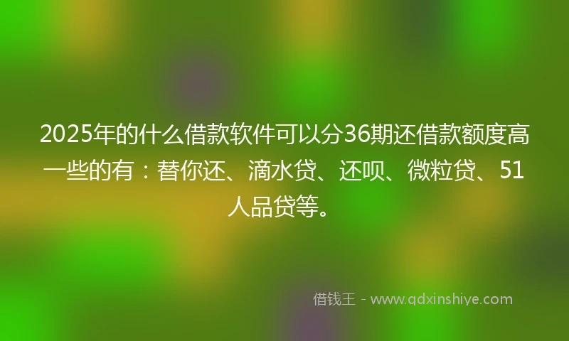 2025年的什么借款软件可以分36期还借款额度高一些的有：替你还、滴水贷、还呗、微粒贷、51人品贷等。