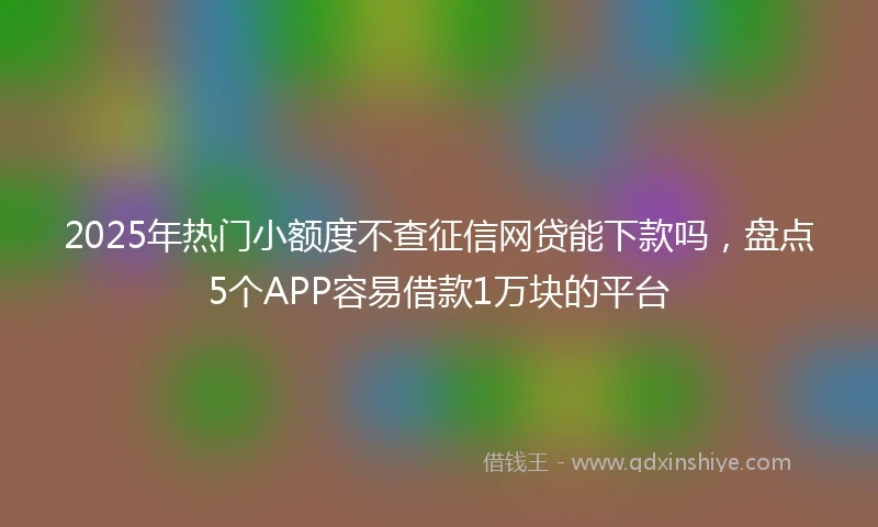 2025年热门小额度不查征信网贷能下款吗，盘点5个APP容易借款1万块的平台
