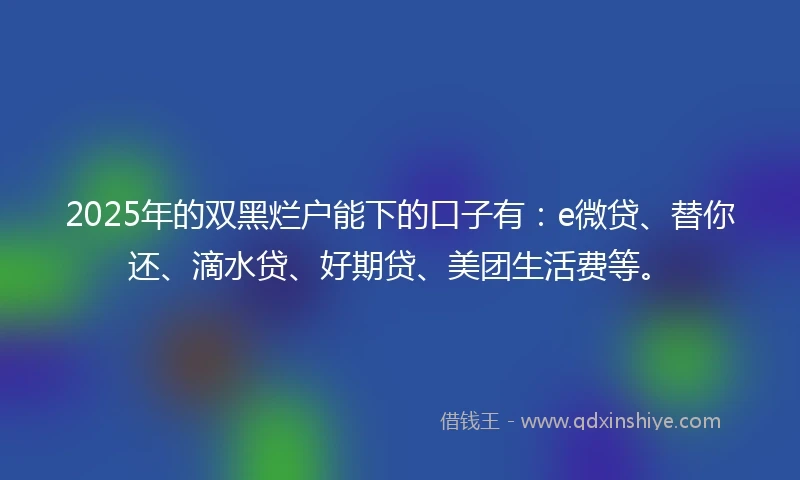 2025年的双黑烂户能下的口子有：e微贷、替你还、滴水贷、好期贷、美团生活费等。