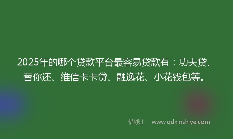 2025年的哪个贷款平台最容易贷款有：功夫贷、替你还、维信卡卡贷、融逸花、小花钱包等。