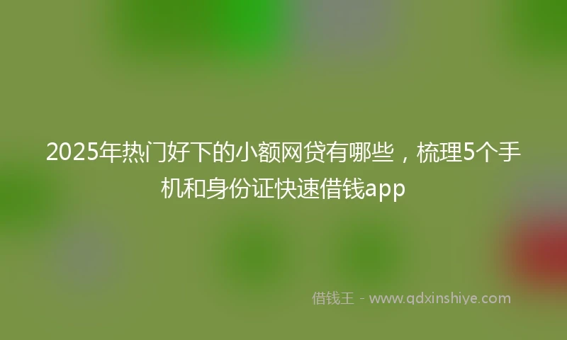 2025年热门好下的小额网贷有哪些，梳理5个手机和身份证快速借钱app