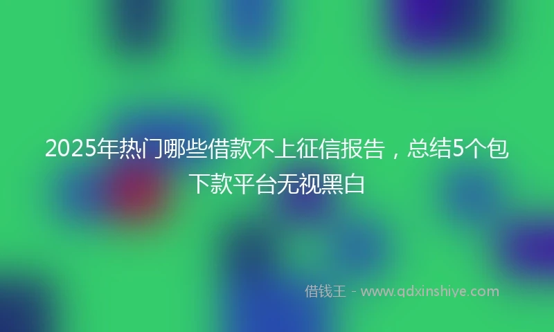 2025年热门哪些借款不上征信报告，总结5个包下款平台无视黑白