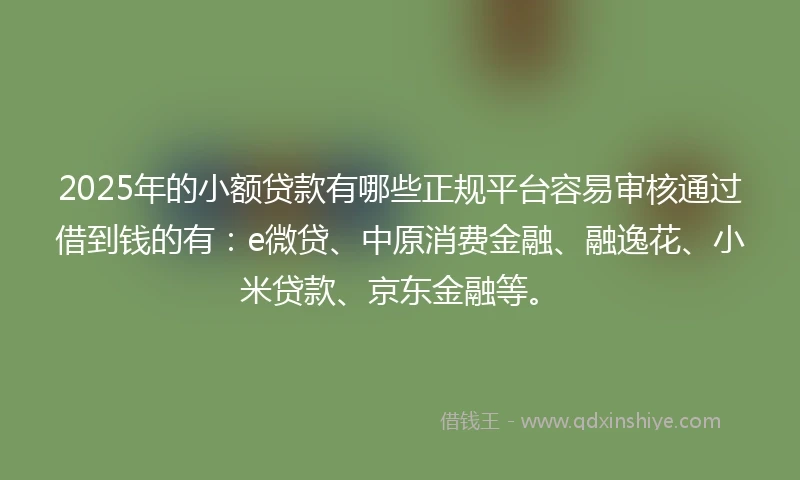 2025年的小额贷款有哪些正规平台容易审核通过借到钱的有：e微贷、中原消费金融、融逸花、小米贷款、京东金融等。