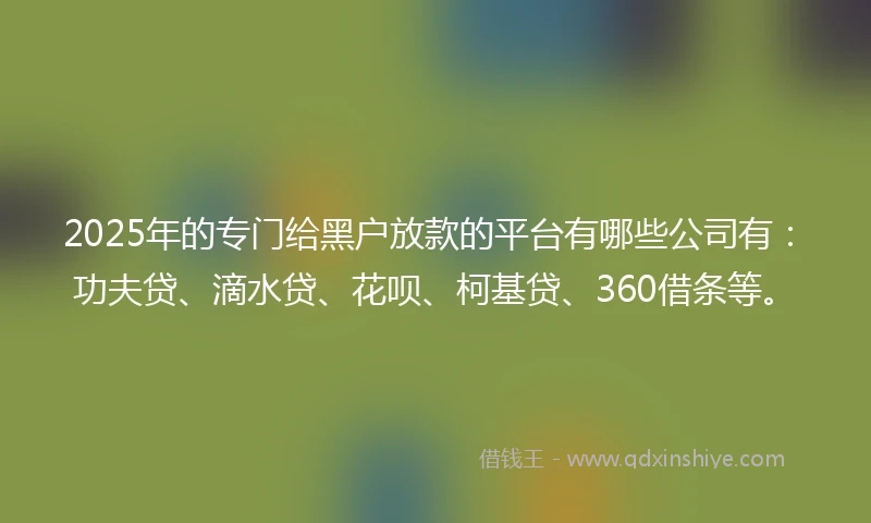 2025年的专门给黑户放款的平台有哪些公司有：功夫贷、滴水贷、花呗、柯基贷、360借条等。