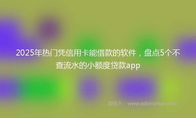 2025年热门凭信用卡能借款的软件，盘点5个不查流水的小额度贷款app