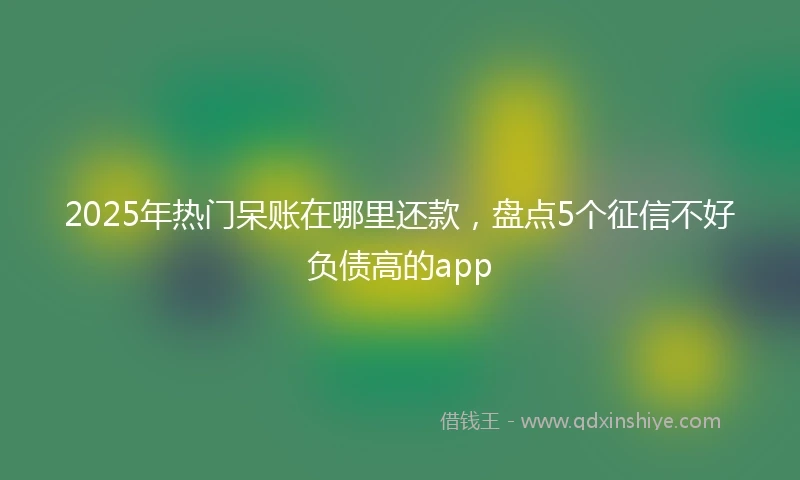 2025年热门呆账在哪里还款，盘点5个征信不好负债高的app
