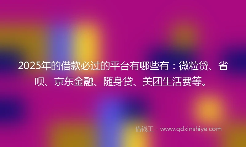 2025年的借款必过的平台有哪些有：微粒贷、省呗、京东金融、随身贷、美团生活费等。