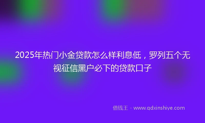 2025年热门小金贷款怎么样利息低，罗列五个无视征信黑户必下的贷款口子