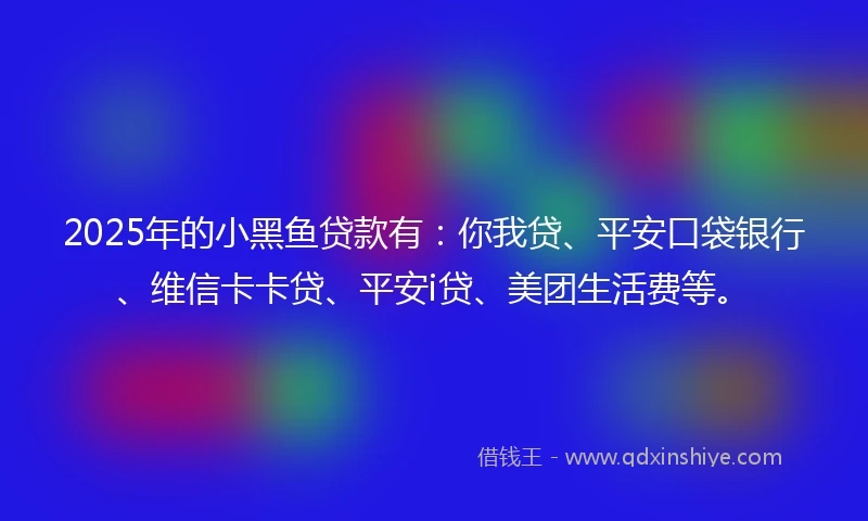 2025年的小黑鱼贷款有：你我贷、平安口袋银行、维信卡卡贷、平安i贷、美团生活费等。