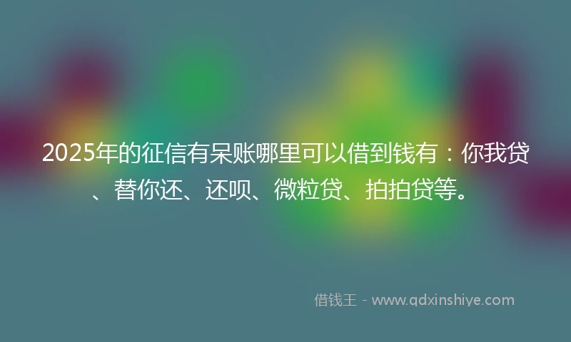 2025年的征信有呆账哪里可以借到钱有：你我贷、替你还、还呗、微粒贷、拍拍贷等。