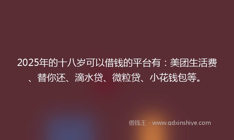 2025年的十八岁可以借钱的平台有：美团生活费、替你还、滴水贷、微粒贷、小花钱包等。