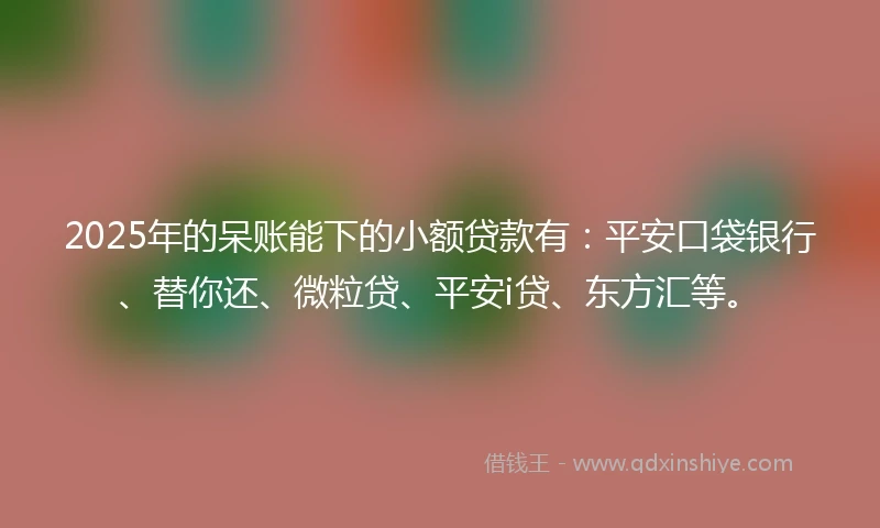 2025年的呆账能下的小额贷款有：平安口袋银行、替你还、微粒贷、平安i贷、东方汇等。