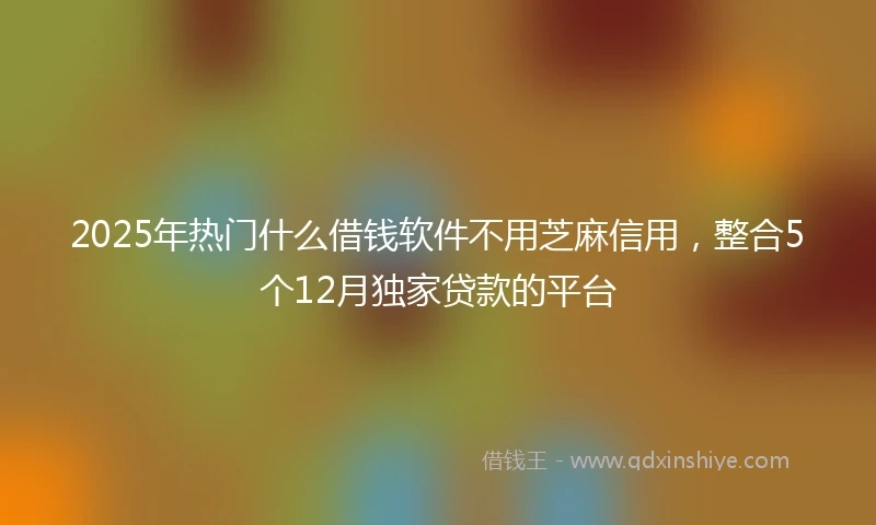 2025年热门什么借钱软件不用芝麻信用，整合5个12月独家贷款的平台
