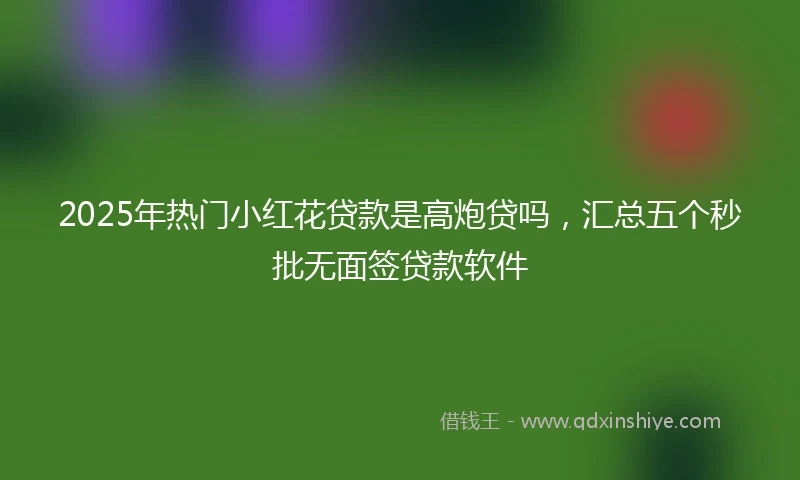 2025年热门小红花贷款是高炮贷吗，汇总五个秒批无面签贷款软件
