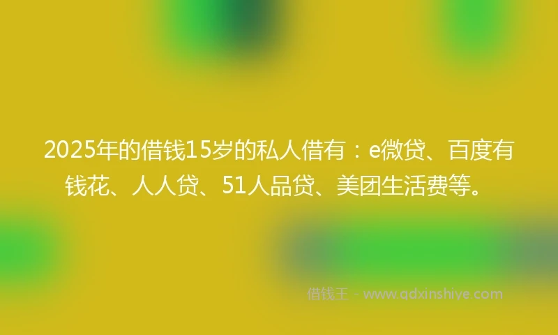 2025年的借钱15岁的私人借有：e微贷、百度有钱花、人人贷、51人品贷、美团生活费等。