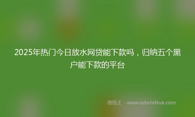 2025年热门今日放水网贷能下款吗，归纳五个黑户能下款的平台