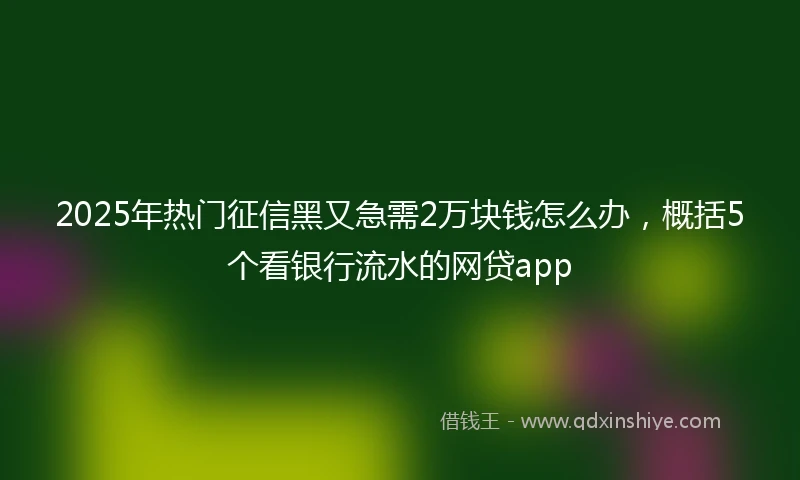 2025年热门征信黑又急需2万块钱怎么办，概括5个看银行流水的网贷app