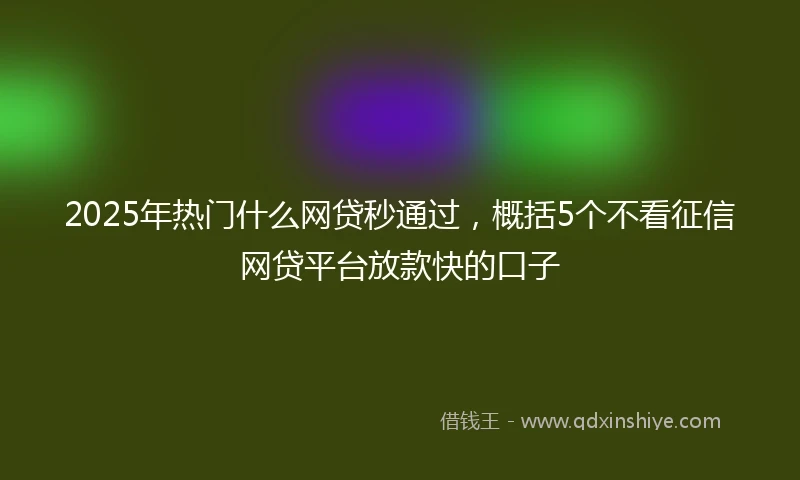 2025年热门什么网贷秒通过，概括5个不看征信网贷平台放款快的口子