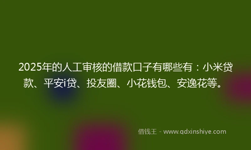2025年的人工审核的借款口子有哪些有：小米贷款、平安i贷、投友圈、小花钱包、安逸花等。