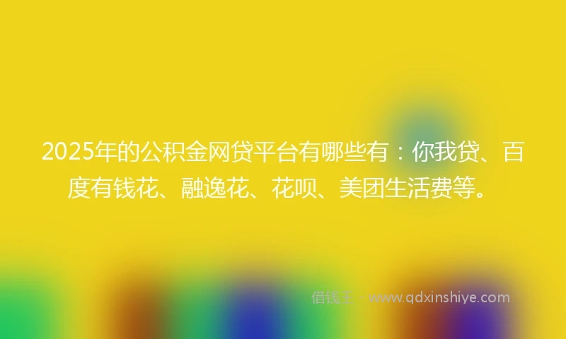 2025年的公积金网贷平台有哪些有：你我贷、百度有钱花、融逸花、花呗、美团生活费等。