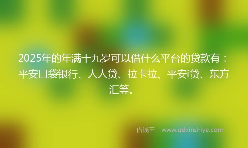 2025年的年满十九岁可以借什么平台的贷款有：平安口袋银行、人人贷、拉卡拉、平安i贷、东方汇等。