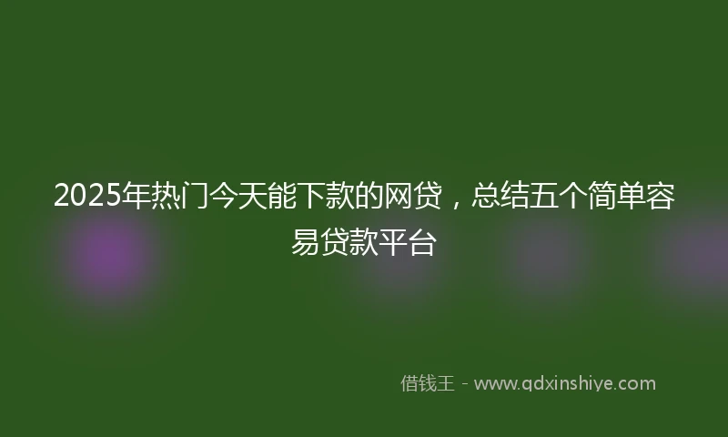 2025年热门今天能下款的网贷，总结五个简单容易贷款平台