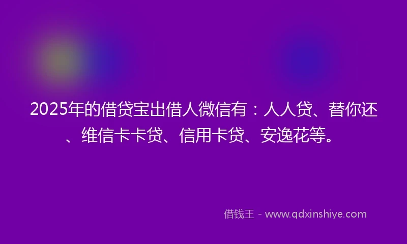 2025年的借贷宝出借人微信有：人人贷、替你还、维信卡卡贷、信用卡贷、安逸花等。