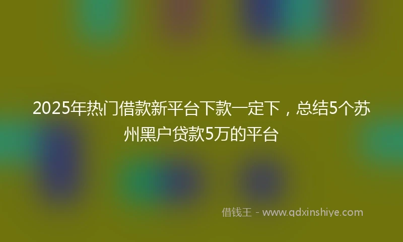2025年热门借款新平台下款一定下，总结5个苏州黑户贷款5万的平台