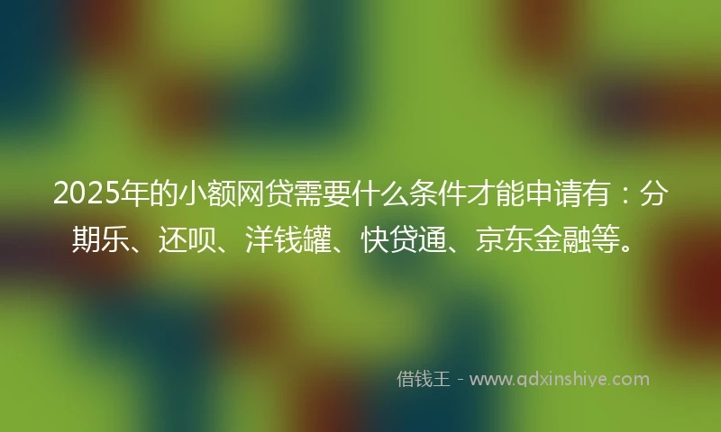 2025年的小额网贷需要什么条件才能申请有：分期乐、还呗、洋钱罐、快贷通、京东金融等。