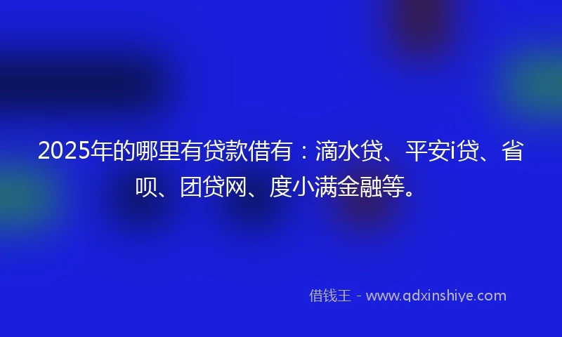 2025年的哪里有贷款借有：滴水贷、平安i贷、省呗、团贷网、度小满金融等。