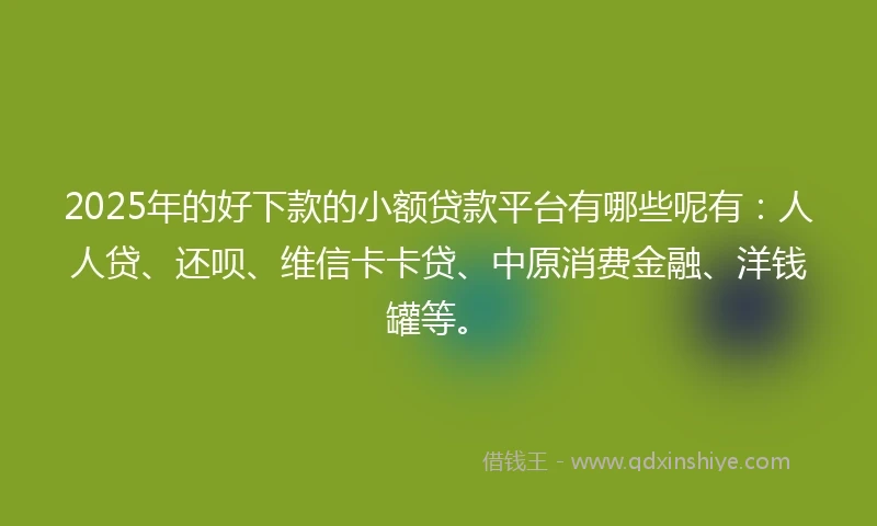 2025年的好下款的小额贷款平台有哪些呢有：人人贷、还呗、维信卡卡贷、中原消费金融、洋钱罐等。