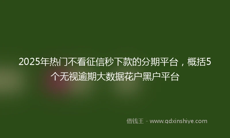 2025年热门不看征信秒下款的分期平台，概括5个无视逾期大数据花户黑户平台