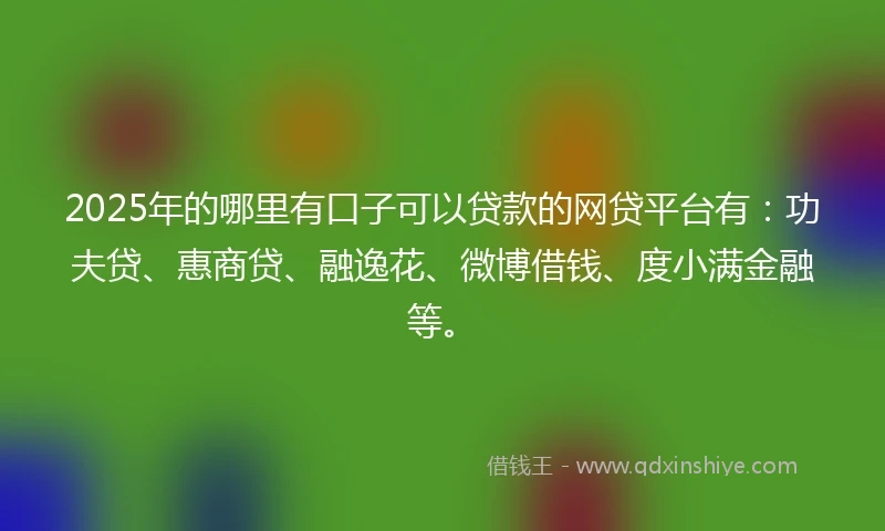 2025年的哪里有口子可以贷款的网贷平台有：功夫贷、惠商贷、融逸花、微博借钱、度小满金融等。
