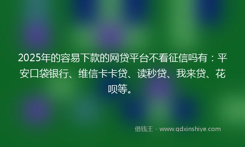 2025年的容易下款的网贷平台不看征信吗有：平安口袋银行、维信卡卡贷、读秒贷、我来贷、花呗等。