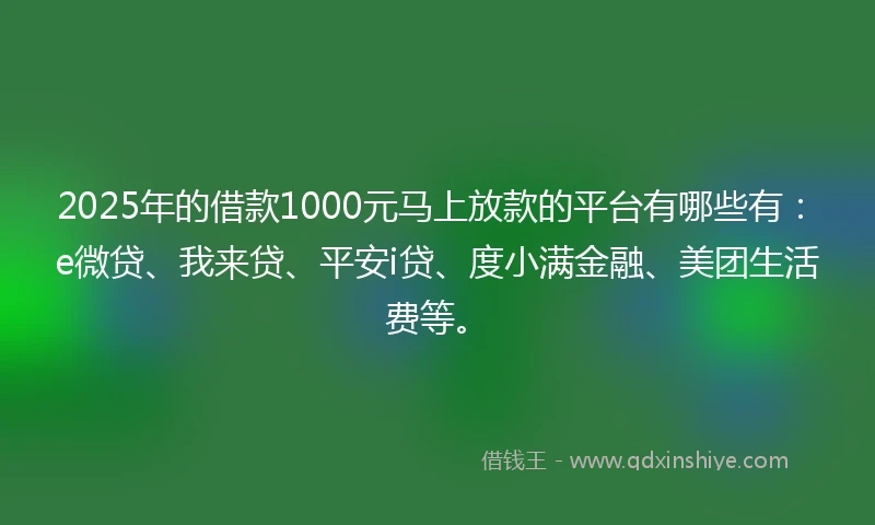 2025年的借款1000元马上放款的平台有哪些有：e微贷、我来贷、平安i贷、度小满金融、美团生活费等。