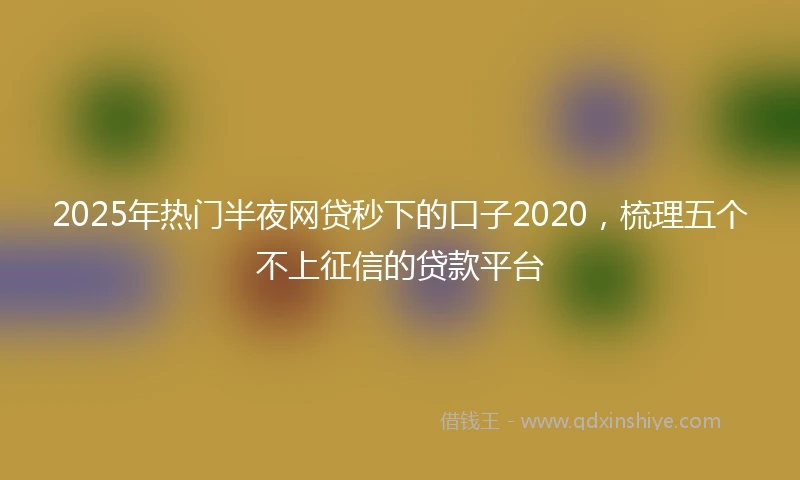 2025年热门半夜网贷秒下的口子2020，梳理五个不上征信的贷款平台