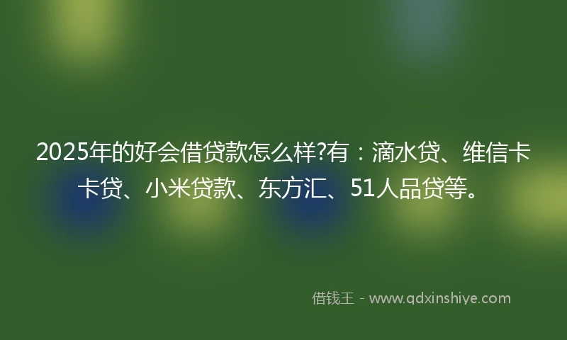 2025年的好会借贷款怎么样?有：滴水贷、维信卡卡贷、小米贷款、东方汇、51人品贷等。