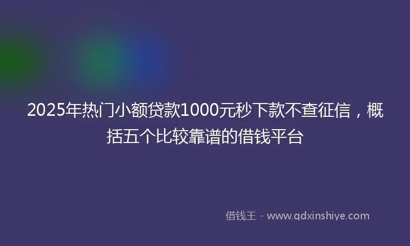 2025年热门小额贷款1000元秒下款不查征信，概括五个比较靠谱的借钱平台