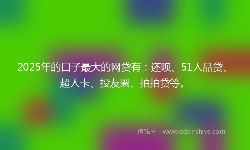 2025年的口子最大的网贷有：还呗、51人品贷、超人卡、投友圈、拍拍贷等。